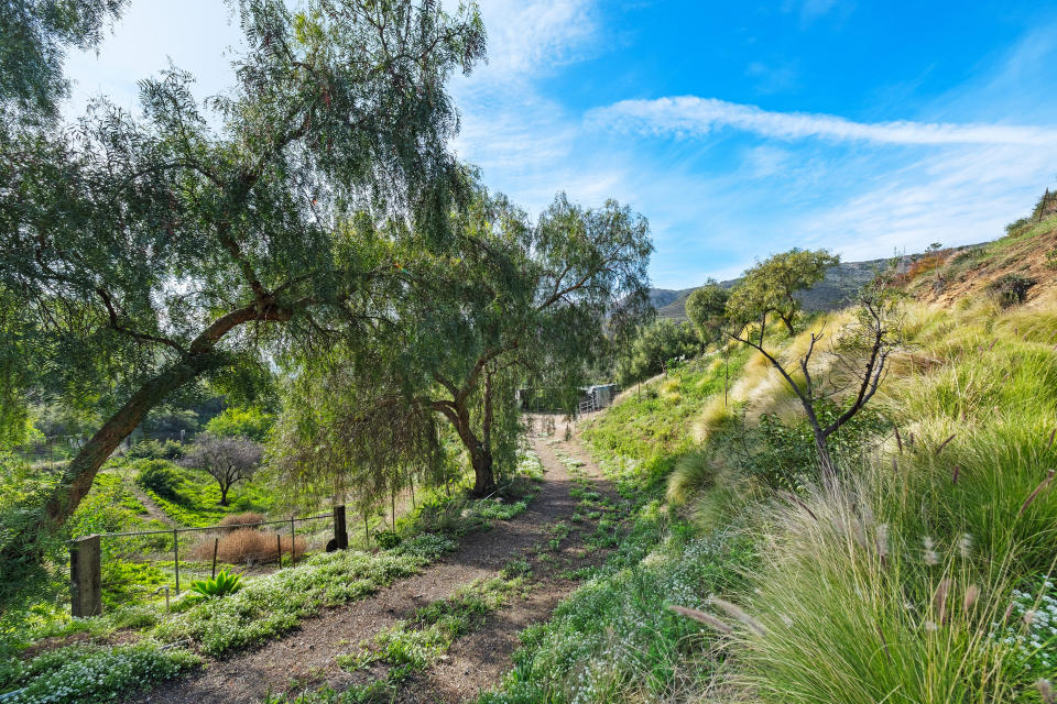 Decker Family Home - Malibu - Real Estate