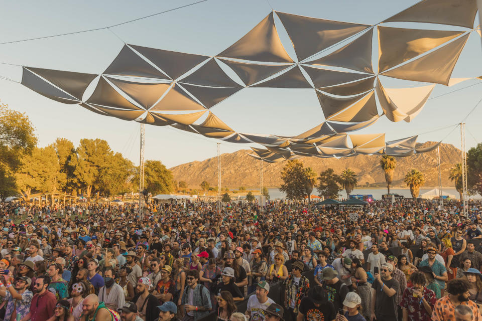 Crowd at Desert Daze festival (Photo: Debi DelGrande)