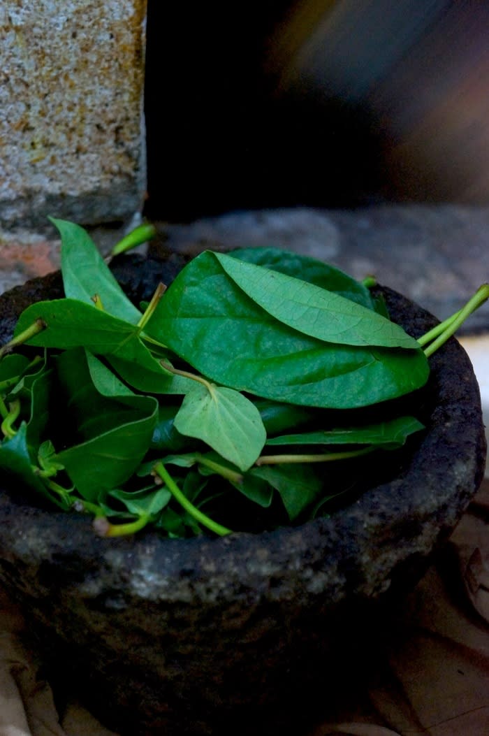 The making of 'jamu'