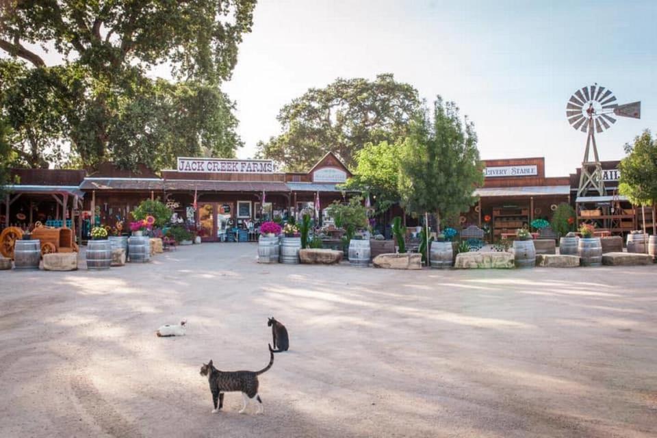 Jack Creek Farms, a farm run by the Barlogio family, was ranked by Yelp as one of the best pumpkin patches in the United States.