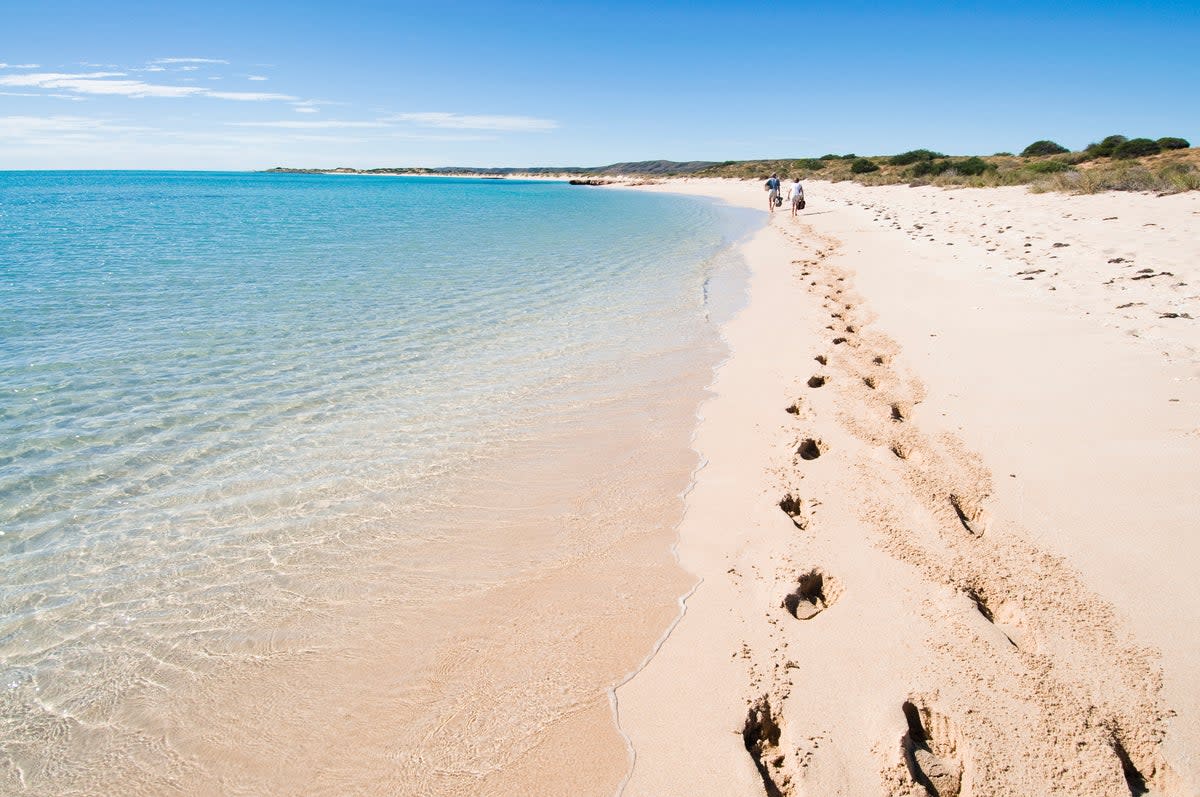 Fraser Island’s east coast is known for thrilling 4WD adventures at low-tide (Getty Images)