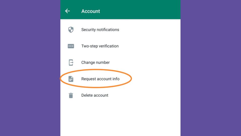Request account information on WhatsApp