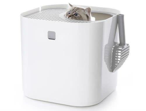 Modacat litterbox amazon