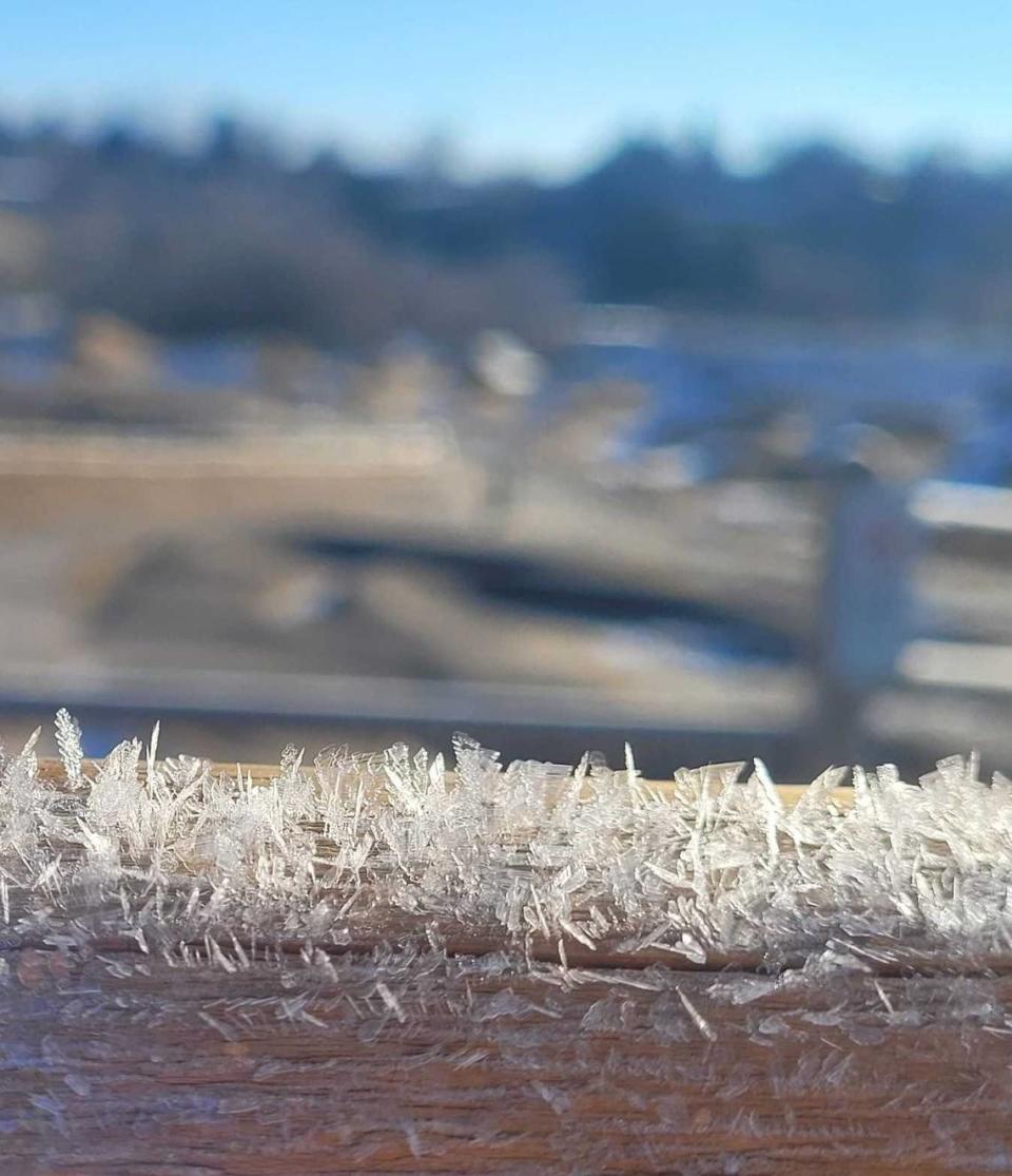 Rime ice on a fence at the J.A. & Kathryn Albertson Family Foundation Bike Park at the base of Boise’s Military Reserve. Rime ice forms on cold, still mornings when there is fog or mist in the air.