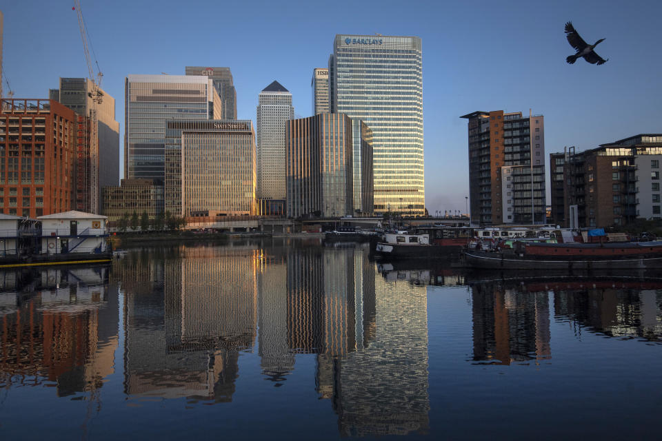 A cormorant takes flight as buildings in Canary Wharf reflect the sun rising in east London