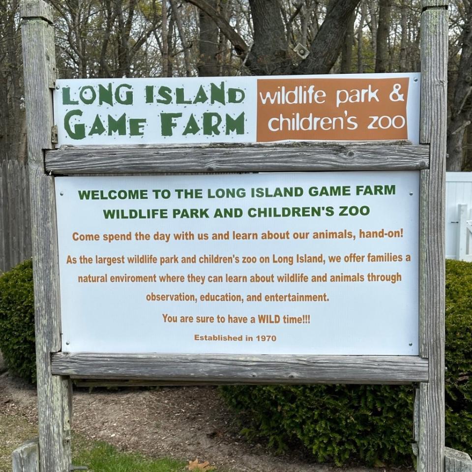 The Long Island Game Farm, where Bobo was staying, said this week that the giraffe had been battling medication-resistant parasites. Long Island Game Farm/Facebook