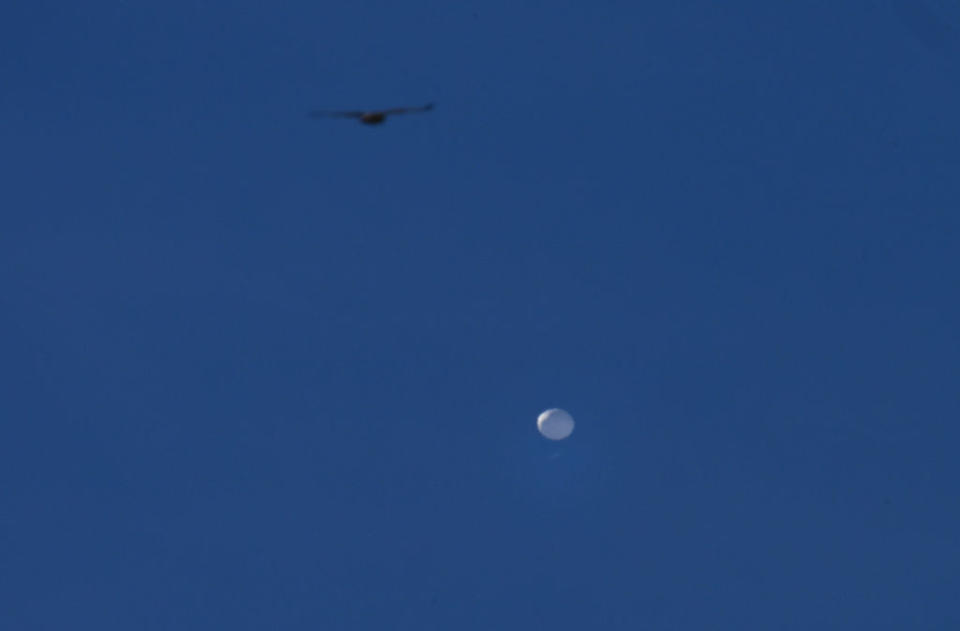 Alleged Chinese spy balloon flies above in Charlotte NC, United States on Feb. 4, 2023.<span class="copyright">Peter Zay—Anadolu Agency/Getty Images</span>