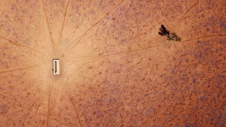 FILE PHOTO: A lone tree stands near a water trough in a drought-affected paddock