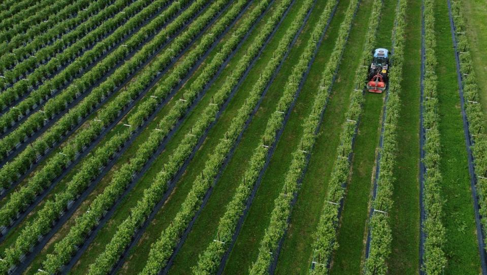 Farmers are facing massive fertiliser costs (Gareth Fuller/PA) (PA Archive)