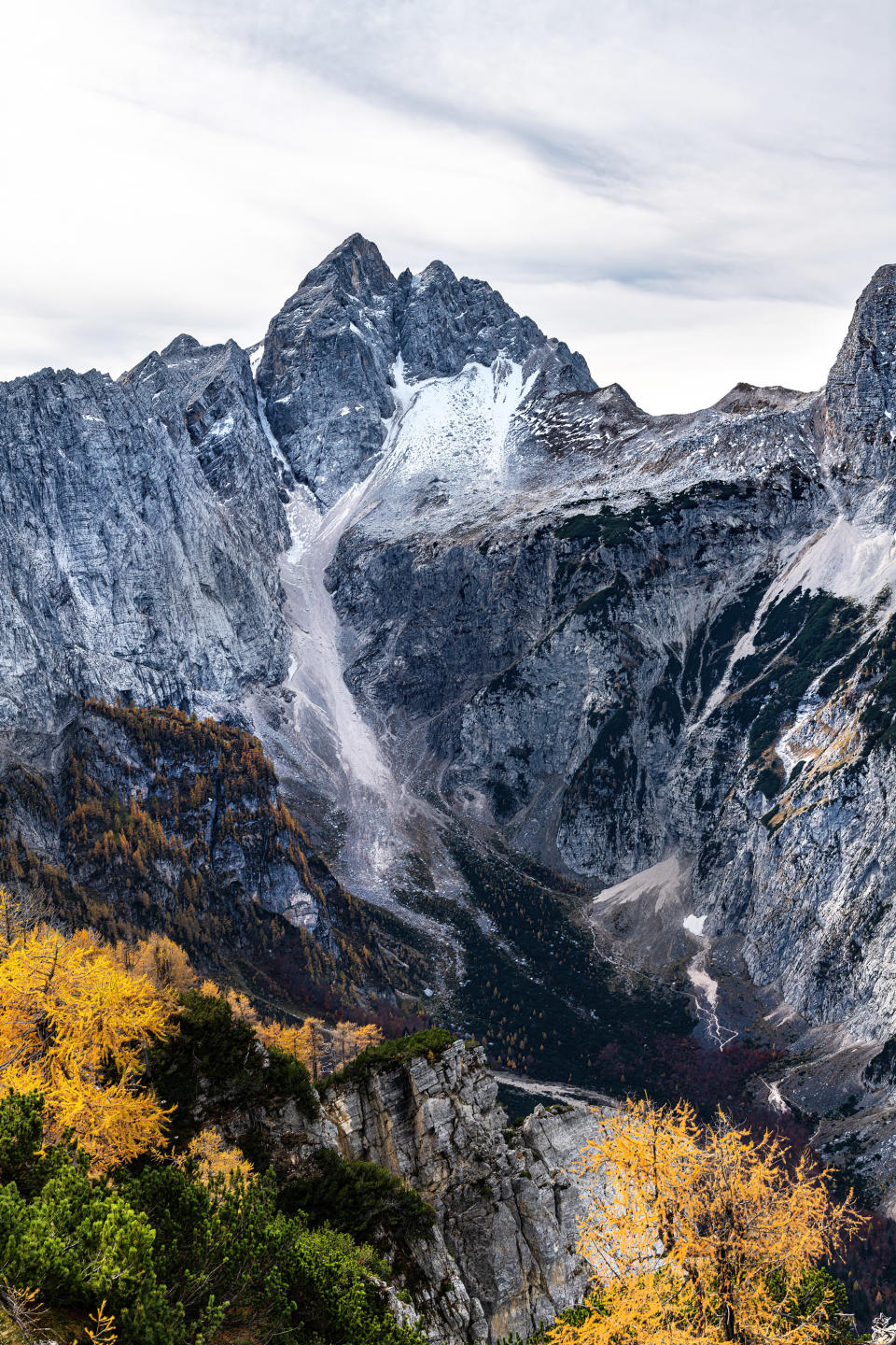 View of Mount Jalovec through orange larch trees