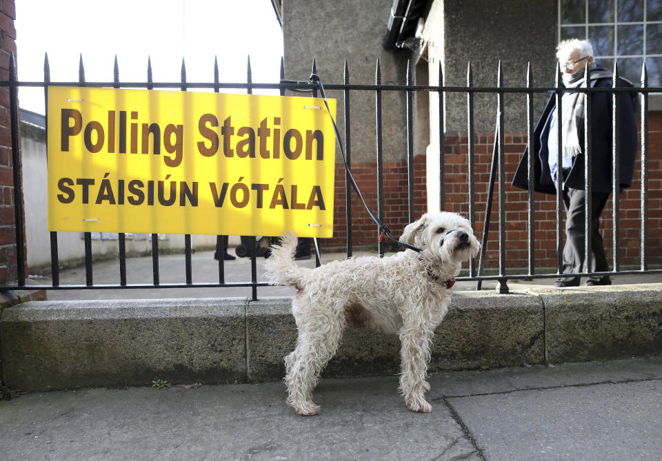 A dog waits outside as voters take to a polling station in North Dublin as voting gets under way in the general election in Dublin, Ireland, Saturday, Feb. 8, 2020. (AP Photo/Peter Morrison)