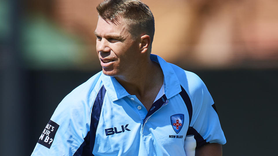 David Warner is set to rejoin NSW for the Marsh Cup after rehabbing from injury. (Photo by Brett Hemmings/Getty Images)