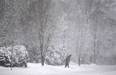 A man pushes a shovel into the street in blizzard conditions in the Chicago suburb of Wilmette, Illinois February 1, 2015. REUTERS/Jim Young