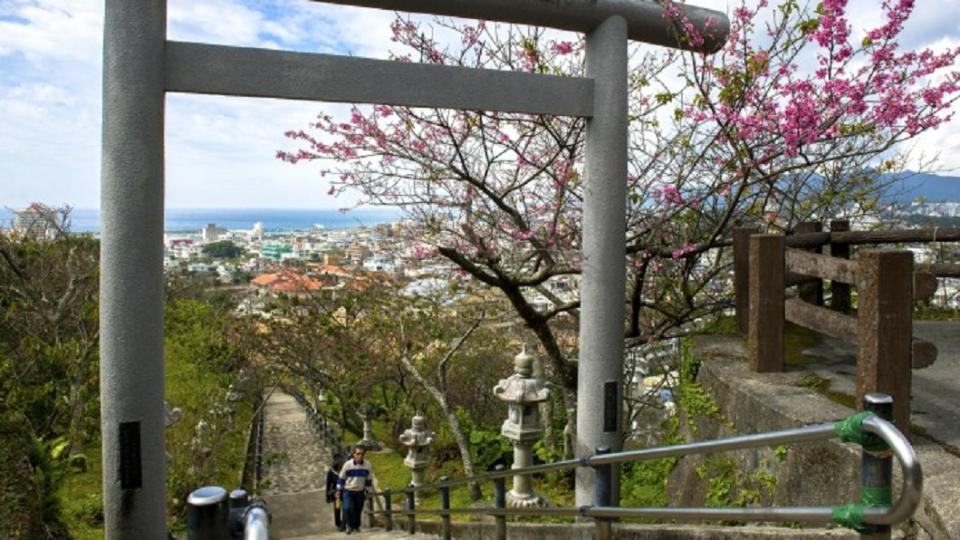 沖繩景點四季玩法-沖繩名護櫻花季。（圖／翻攝自© Okinawa Convention＆Visitors Bureau）