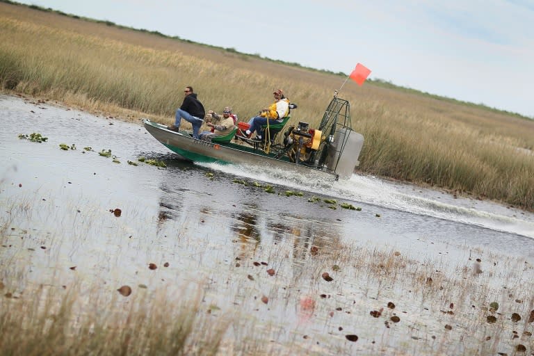 About one third of the Everglades' original three million acres (405,000 of 1.2 million hectares) has been converted into farmland, and 1.5 million acres are now designated a national park