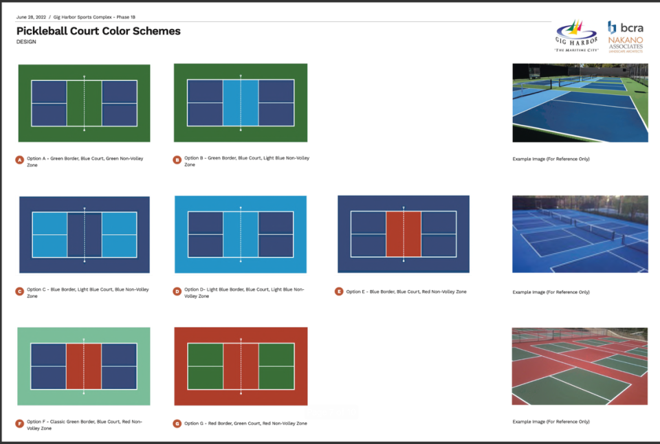 These are the pickleball court design options.