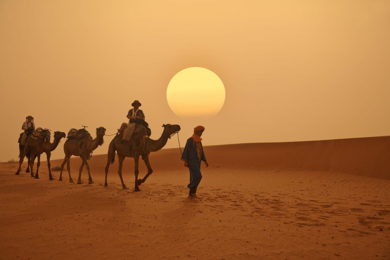 Camel caravan in the Sahara Desert, Morocco of three camels and three people with large setting sun in the background