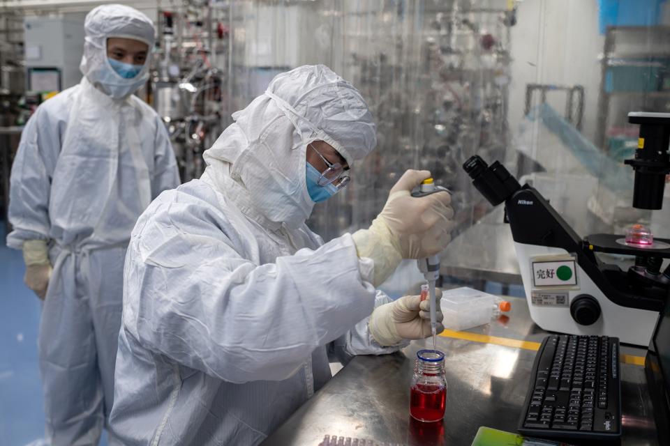 An engineer takes samples of monkey kidney cells as he make tests on an experimental vaccine for the COVID-19 coronavirus inside the Cells Culture Room laboratory at the Sinovac Biotech facilities in Beijing.