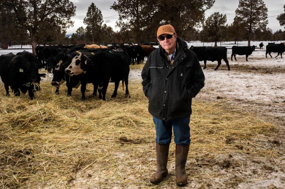 Rancher Mike Byrne stands in front of his grazing cattle at his Modoc County ranch on Tuesday, Dec. 15, 2020. As the federal government has curtailed access to their family grazing land on Clear Lake Reservoir over the decades, the Bynes have worked with the federal agencies on plans to save the sage grouse. “It is really important to us to do everything that we can and take the extra step to do more than we should to make sure there is a viable population so we can stay in business,” he said.