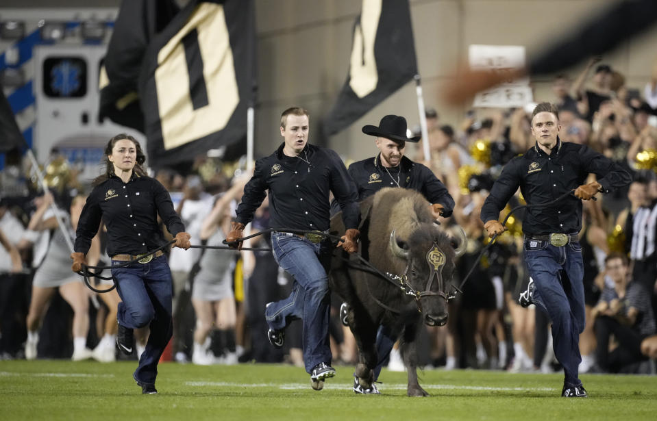 FILE - Handlers guide Colorado mascot Ralphie in the ceremonial run before Colorado's NCAA college football game against TCU on Friday, Sept. 2, 2022, in Boulder, Colo. The Buffaloes will be coming back after being part of the original 12-team lineup and then involved in the first rounds of conference realignment that dropped the Big 12 to 10 teams. Now they will be part of an expansion that will make the Big 12 bigger than ever. (AP Photo/David Zalubowski, File)