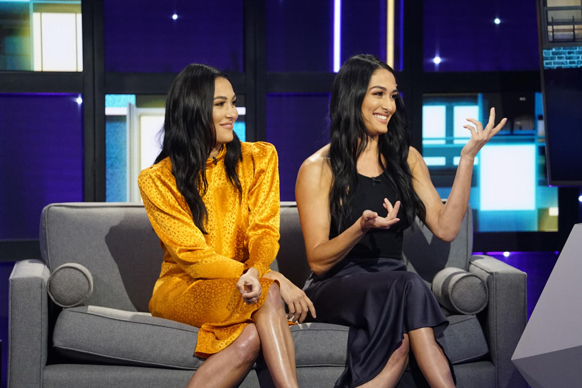 Brie Bella and Nikki Bella are seen on January 25, 2023 in New York News  Photo - Getty Images