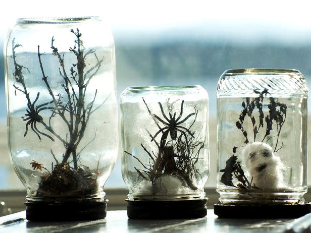 Terrariums