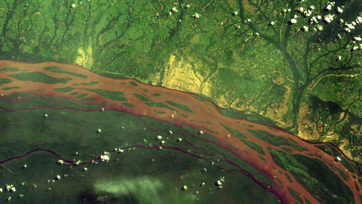 Remote sensing image of the Congo River and its surrounding forests