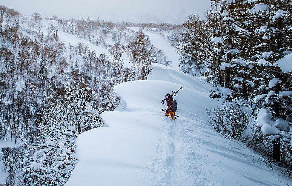 A skier in high tech outerwear treks towards a mountain slope.