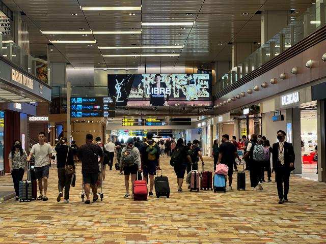 I spent 8 hours at Singapore's famous airport, which features luxuries like  a pool, a movie theater, and a butterfly garden. I didn't want to leave.