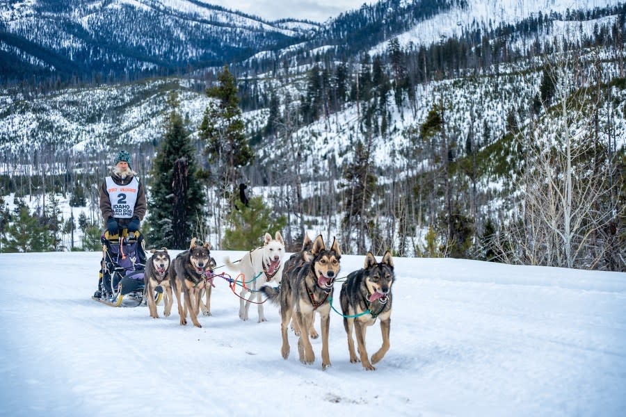 Courtesy Idaho Sled Dog Challenge