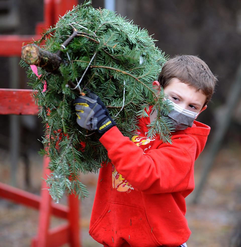 Shaun Greenwood, of Natick, helps out as Ashland High School football players unload 700 Main Christmas trees for the Lions Club annual tree sale in November 2020.