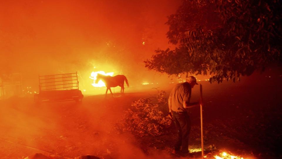 Der 84-Jährige Bill Nichols versucht sein Haus vor den Flammen zu retten. In Kalifornien kämpfen mehr als 10.000 Feuerwehrleute gegen zwei Dutzend Großbrände an.