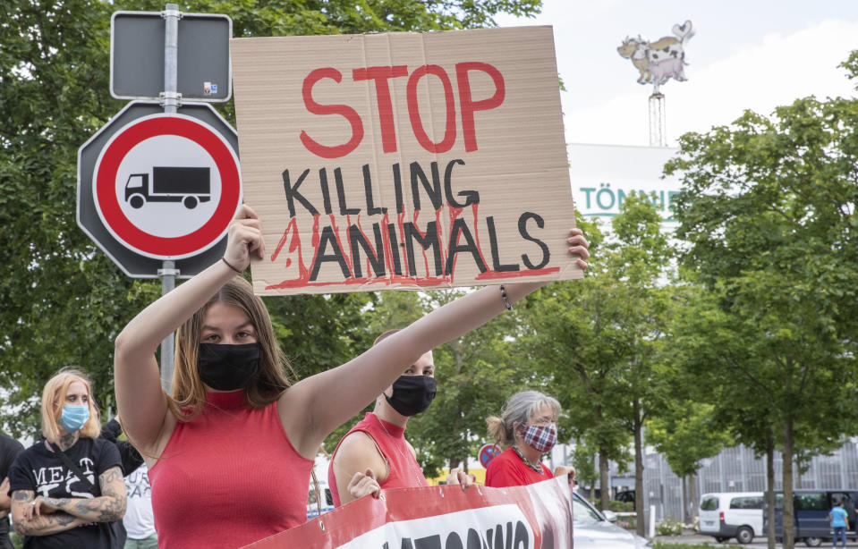 Animal rights activists protest in front of the Toennies meatpacking plant and slaughterhouse in Rheda-Wiedenbrueck, Germany, Saturday, June 20, 2020. Hundreds of new coronavirus cases are linked to the large meatpacking plant, officials ordered the closure of the slaughterhouse, as well as isolation and tests for everyone else who had worked at the Toennies site — putting about 7,000 people under quarantiner. (Friso Gentsch/dpa via AP)