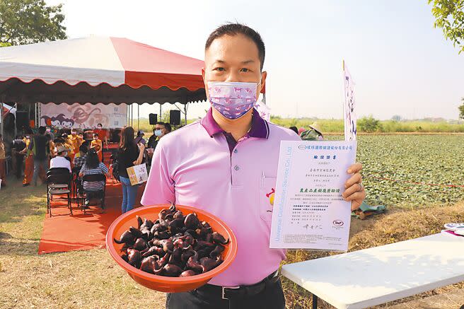 台南市官田區農會總幹事林定億秀出全台首張菱角產銷履歷證明書。（劉秀芬攝）