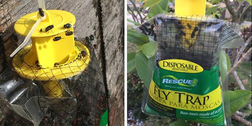 How to use the RESCUE! Disposable Fly Trap 