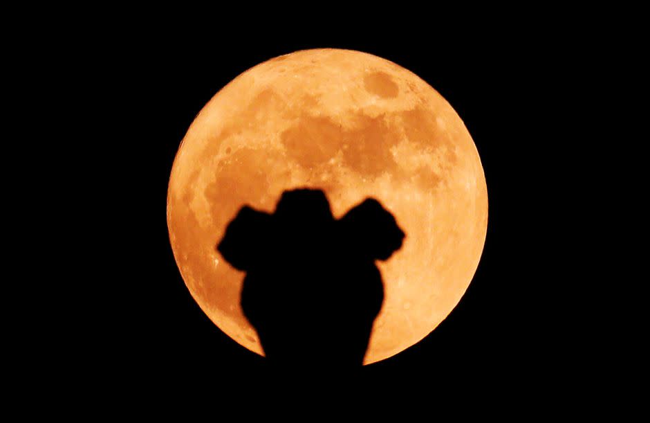 India's national emblem is seen in front of the supermoon in New Delhi, India November 14, 2016.