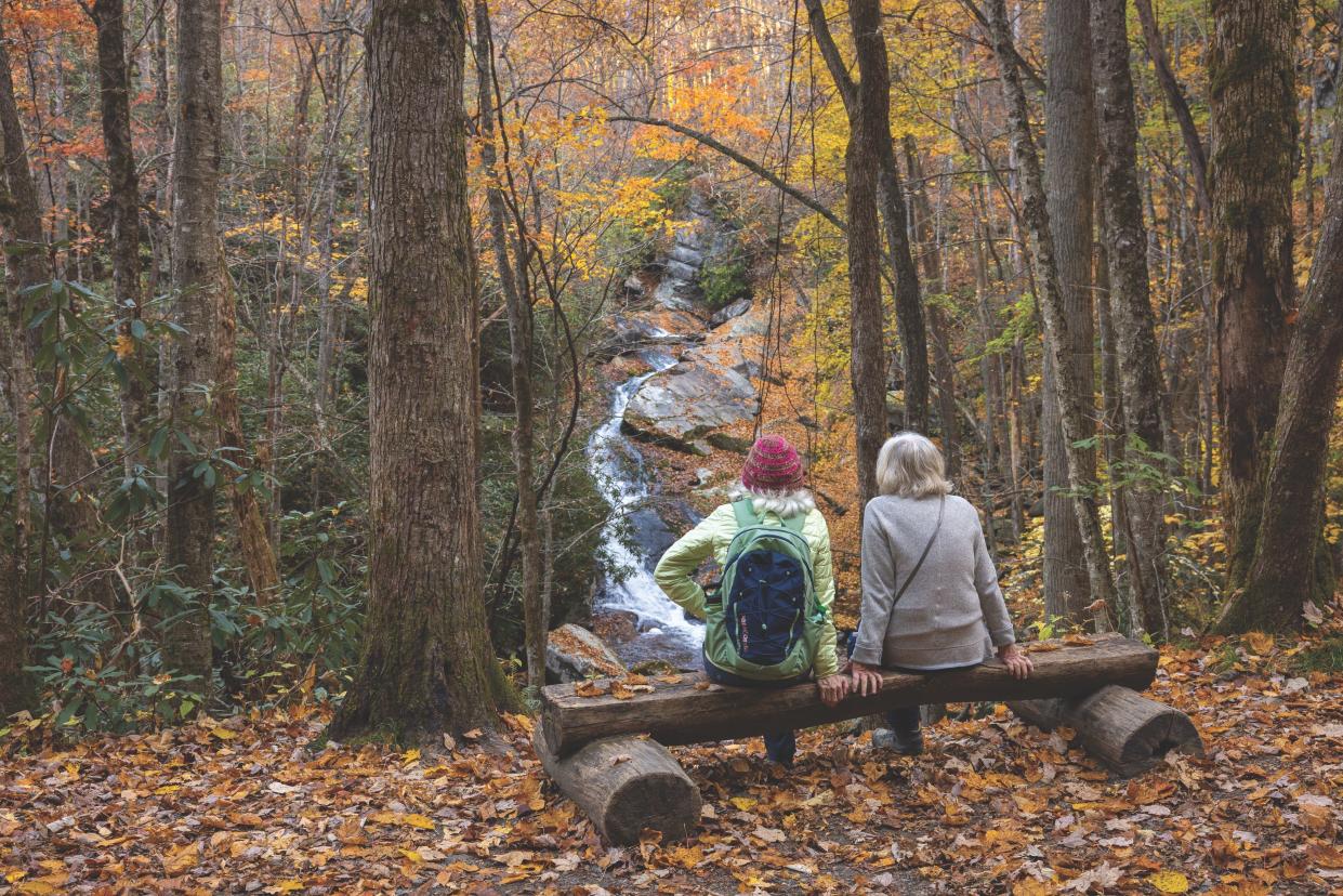 Writers visiting Tremont can easily access the Middle Prong Trail, a wild setting that likely inspired people to set pen to paper long before Tremont existed as an outdoor school and education center.