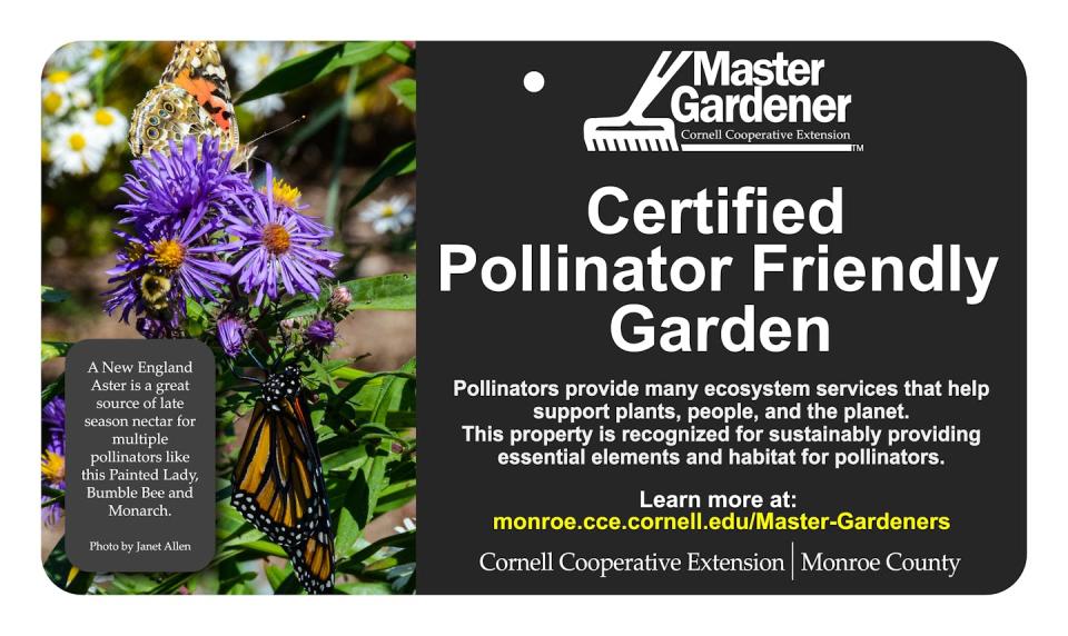 Certified pollinator-friendly gardens provide a variety of native plants, water sources, shelter and nesting sites for pollinators. Removing invasive plants and minimizing pesticide use is also key. <a href="https://monroe.cce.cornell.edu/master-gardeners/pollinator-friendly-gardens/pollinator-friendly-garden-certification" rel="nofollow noopener" target="_blank" data-ylk="slk:Cornell Cooperative Extension Monroe County;elm:context_link;itc:0;sec:content-canvas" class="link ">Cornell Cooperative Extension Monroe County</a>, <a href="http://creativecommons.org/licenses/by-nd/4.0/" rel="nofollow noopener" target="_blank" data-ylk="slk:CC BY-ND;elm:context_link;itc:0;sec:content-canvas" class="link ">CC BY-ND</a>