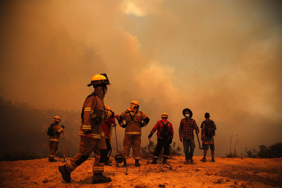 Los bomberos trabajan en la zona de un incendio forestal en las colinas de la comuna de Quilpue, región de Valparaíso, Chile, el 3 de febrero de 2024. Foto:  Javier Torres / AFP via Getty Images