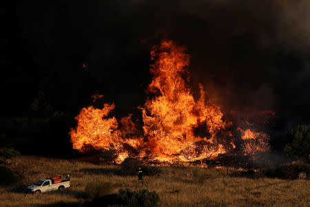 A firefighter stands in front of blazing flames as a wildfire burns in the area of Kalyvia, near Athens, Greece July 31, 2017. REUTERS/Alkis Konstantinidis