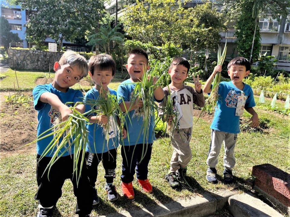 113學年度公立及非營利幼兒園招生招生