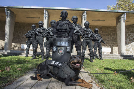 Serbian police officers of the Special Anti-Terrorist Unit pose for a picture in their base outside Belgrade October 8, 2014. REUTERS/Marko Djurica
