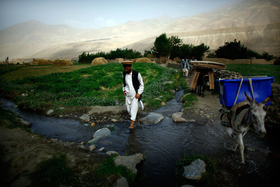 Local election officials escort donkeys carrying election materials on the way to the village of Quali Kuana in Badakhshan province in Afghanistan. <i>From the story "<a href="http://www.npr.org/sections/pictureshow/2009/08/delivering_the_vote_to_rural_a.html" target="_blank">Donkeys Deliver The Vote To Rural Afghanistan</a>," 2009.&nbsp;</i>