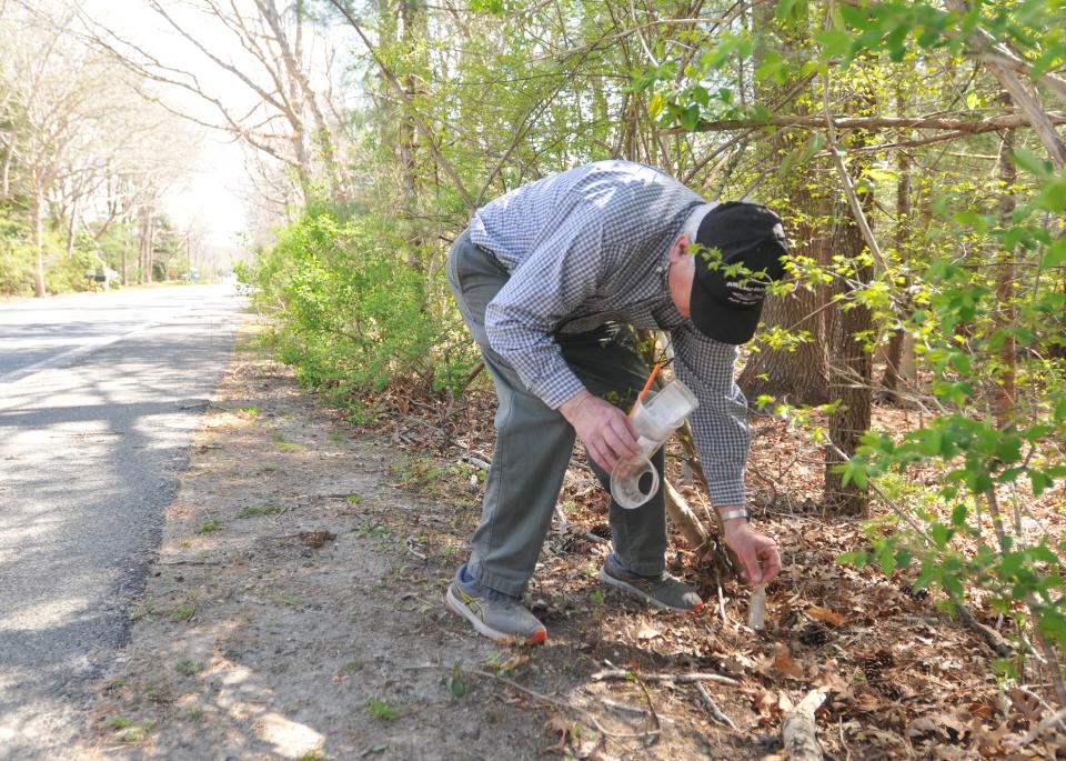 "Having thousands of nip bottles available for sale absolutely encourages drunk driving," Sandwich resident Dan Tanner said. In the photo he collects empty nip bottles Monday along Mill Road in Sandwich.