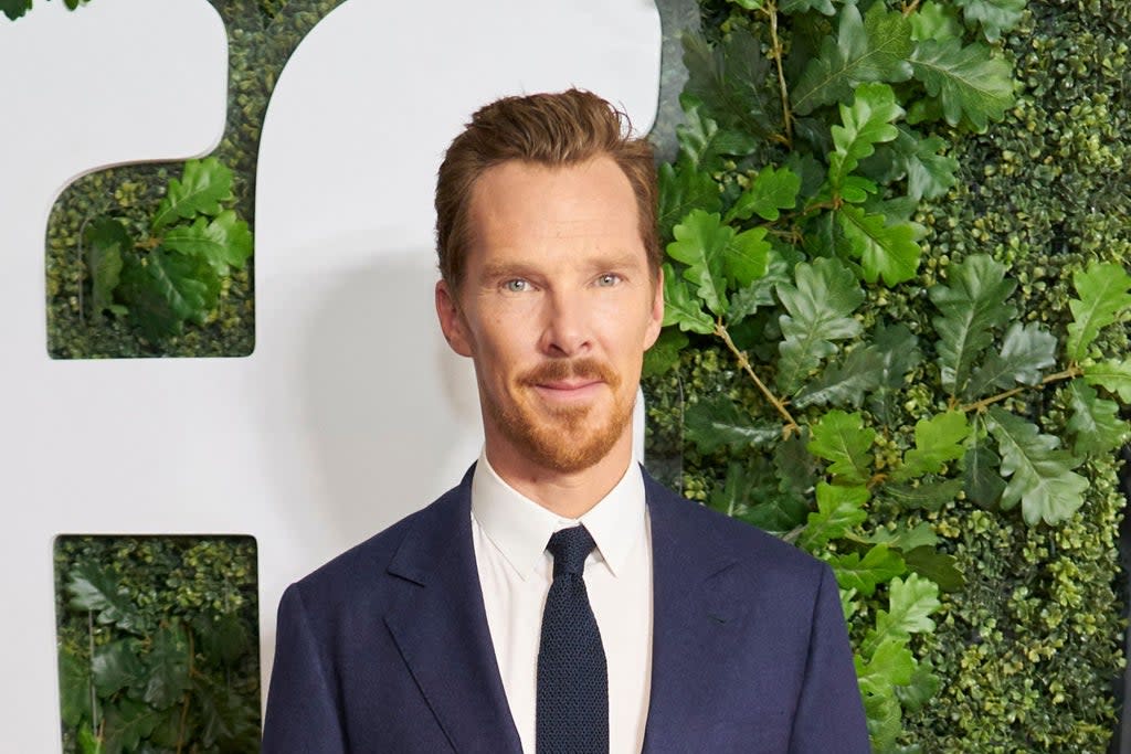 Benedict Cumberbatch (AFP via Getty Images)