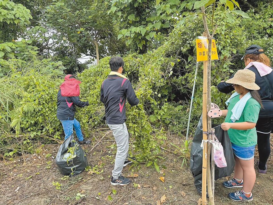 二崙鄉四番地社區發展協會8年前認養1815號保安林地生態步道的維護工作，21日再發動近百人清除小花蔓澤蘭。（周麗蘭攝）