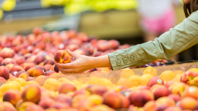 Hand picking out peaches