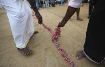 Villagers prepare to burst firecrackers after offering special prayers at a Hindu temple for U.S. Vice President-elect Kamala Harris ahead of her inauguration, in Thulasendrapuram, the hometown of Harris' maternal grandfather, south of Chennai, Tamil Nadu state, India, Wednesday, Jan. 20, 2021. A tiny, lush-green Indian village surrounded by rice paddy fields was beaming with joy Wednesday hours before its descendant, Kamala Harris, takes her oath of office and becomes the U.S. vice president. (AP Photo/Aijaz Rahi)