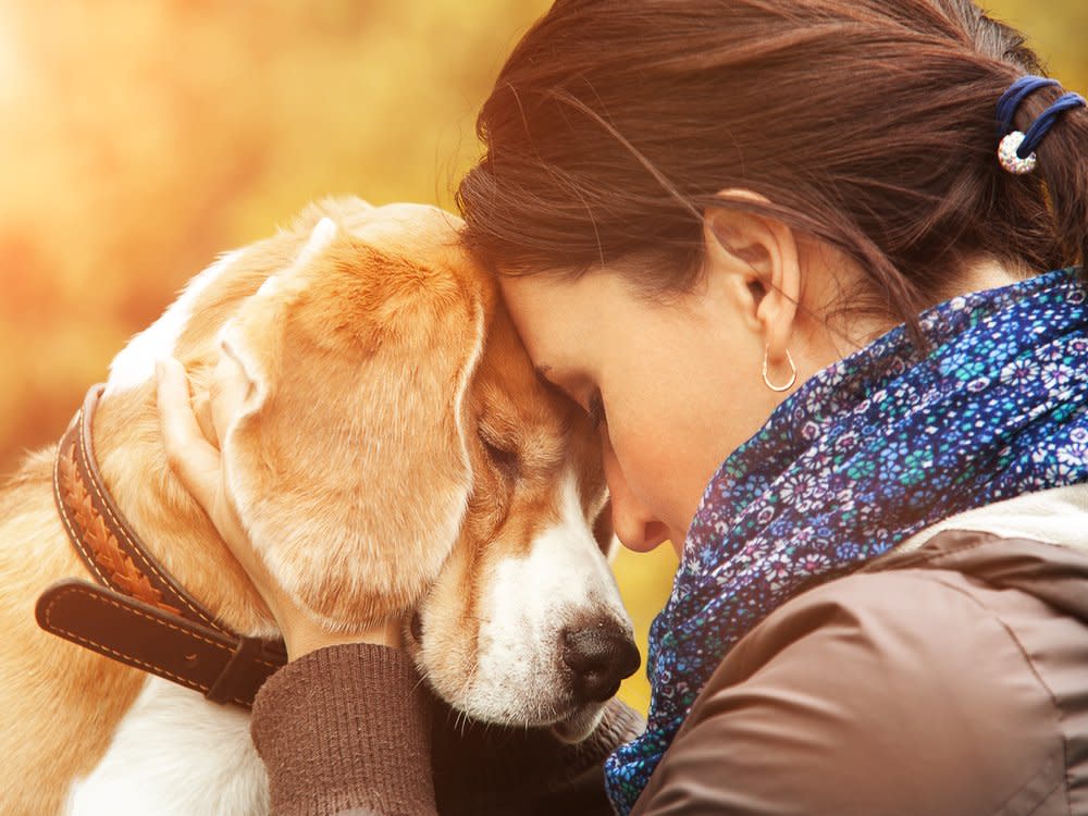 frau hund woman dog