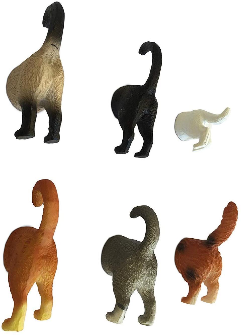 Cat Butt Magnets